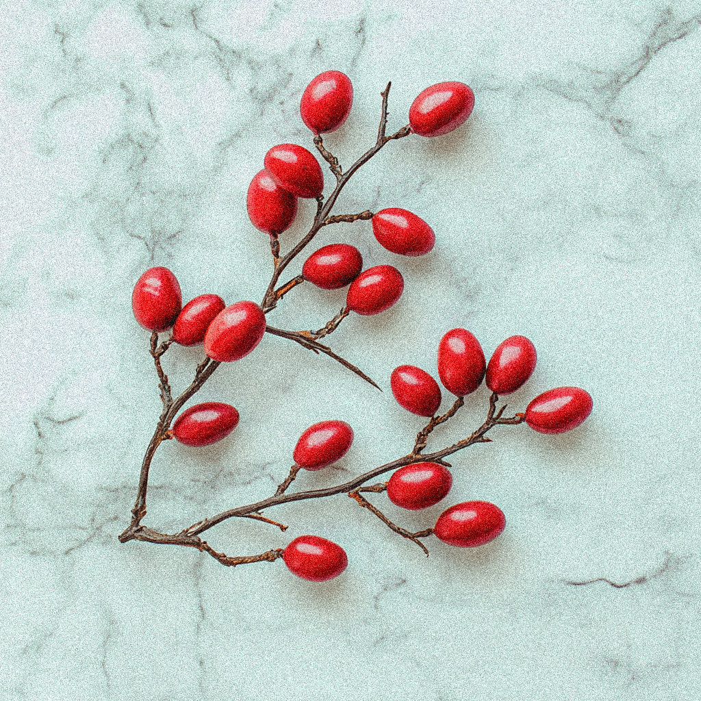Die vielen Namen der Berberitze: Ein verborgenes Juwel der Natur