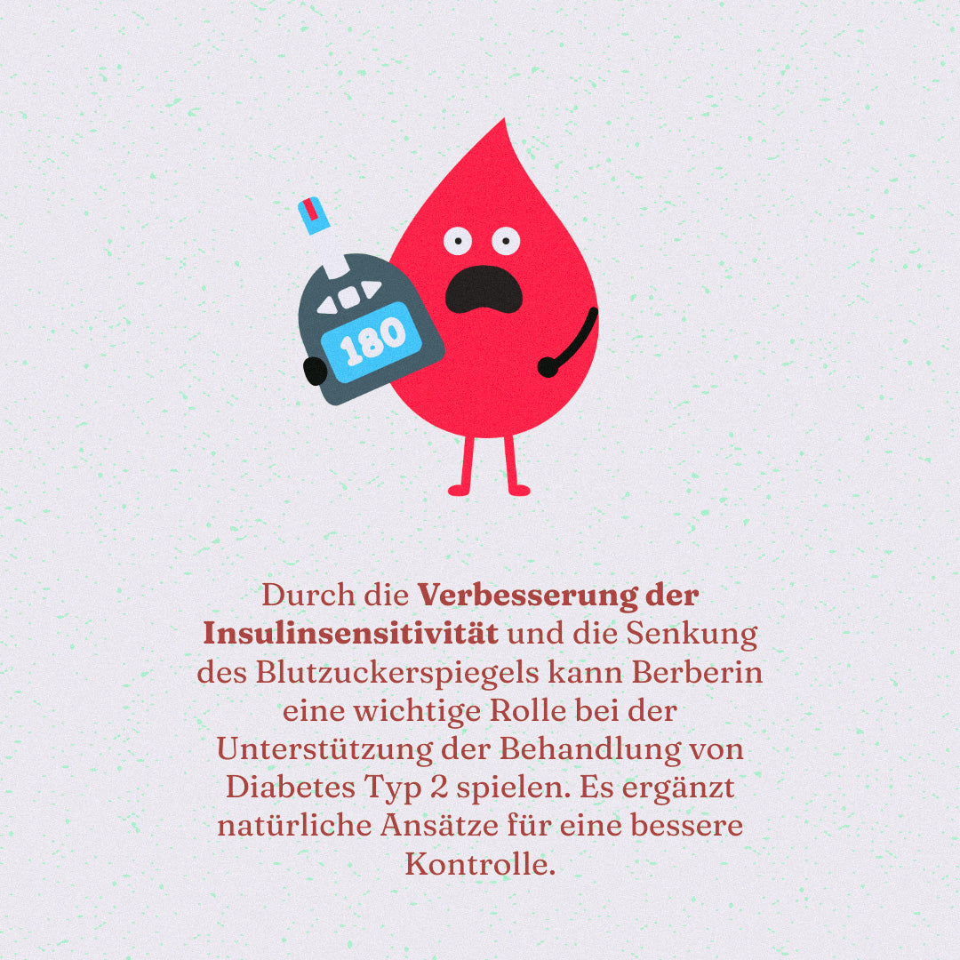 Berberin und Insulinsensitivität: Natürliche Unterstützung für den Umgang mit Diabetes Typ 2