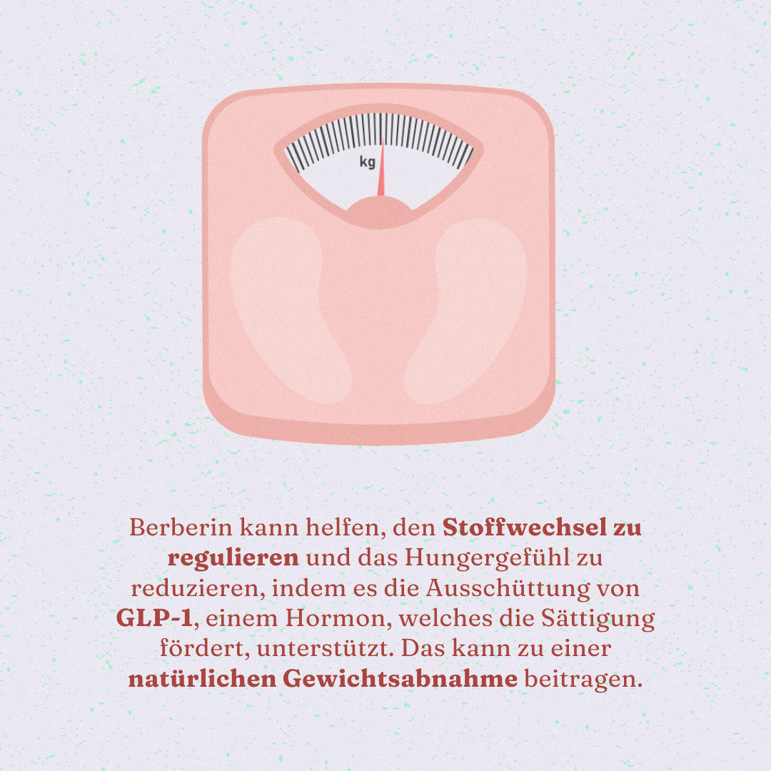 Gewichtsreduktion mit Berberin: Wie die Aktivierung von GLP-1 das Hungergefühl reduzieren kann