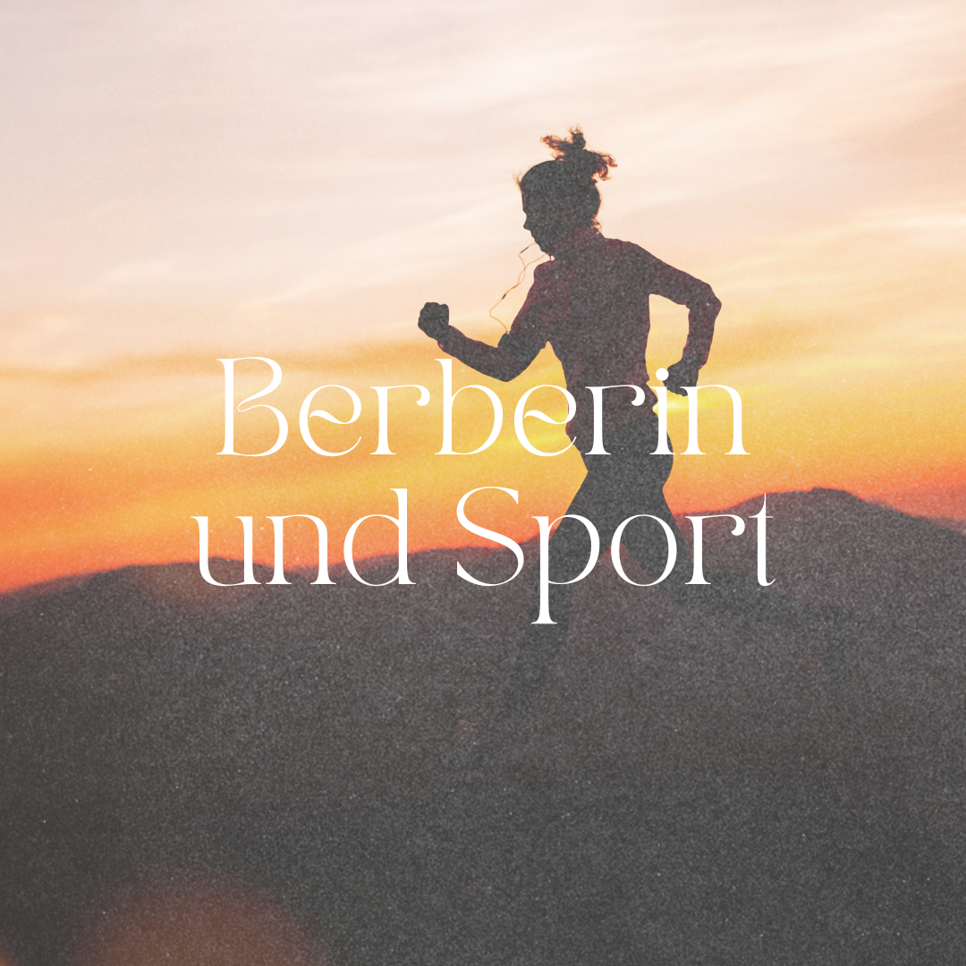 Berberin im Sport: Potenziale für Athleten - was die Wissenschaft sagt