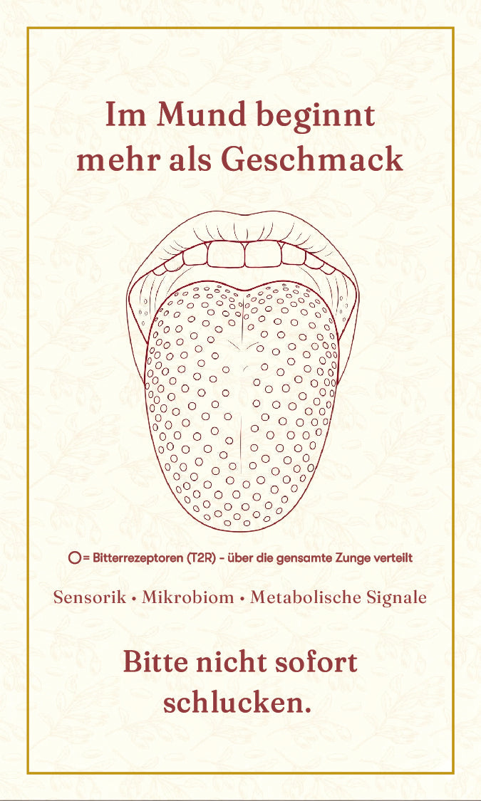 Der Mythos der Geschmackszonen — und was Bitterstoffe wirklich können